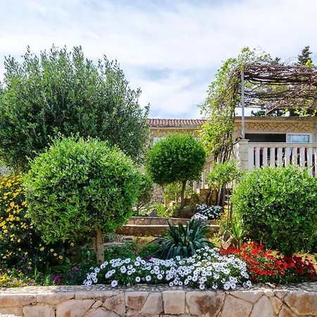 House Kelava * Basina